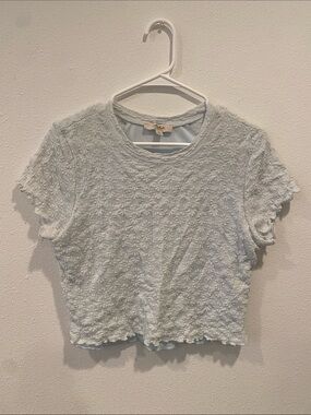 Light Blue Textured Floral Crop Top - Women's